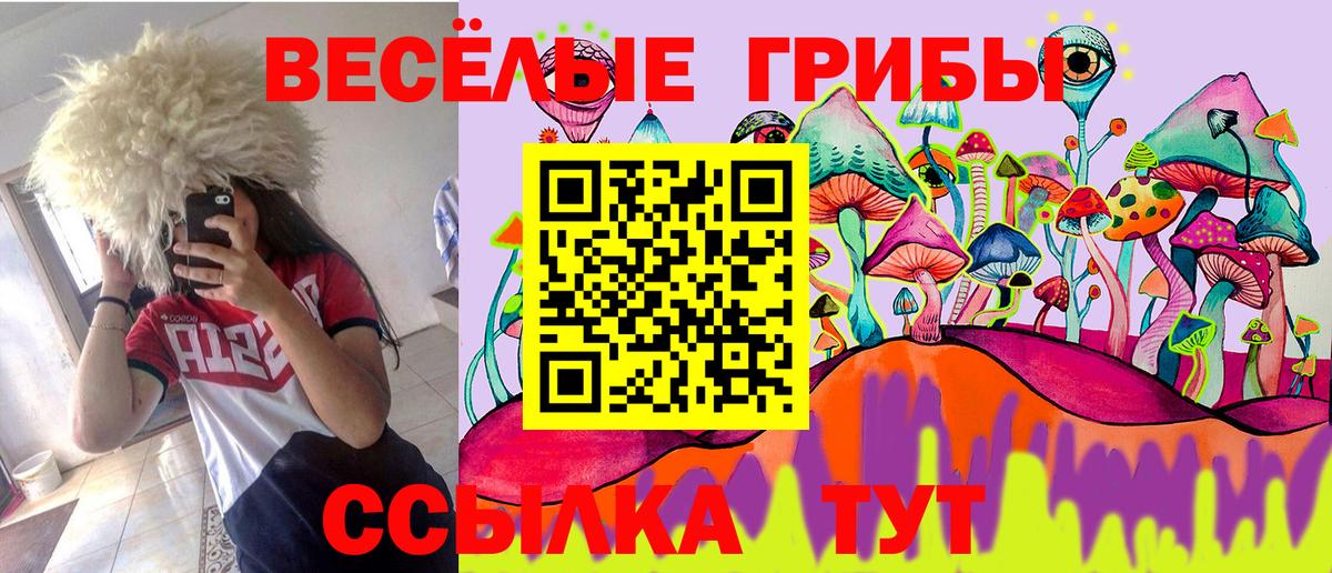 Галлюциногенные грибы ЛСД  Вход с VPN  Ноябрьск 